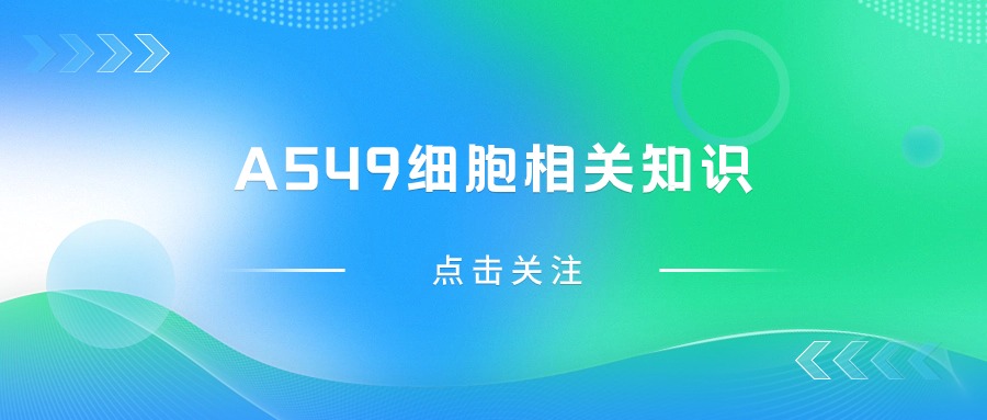 關(guān)于A549細(xì)胞，您不得不知道的一些操作